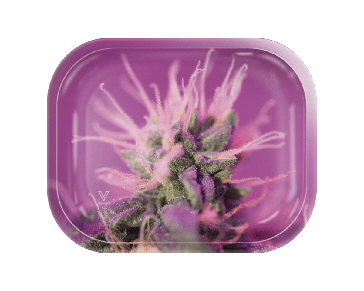 Pink Lemonade Metal Rollin' Tray 2 Size Options