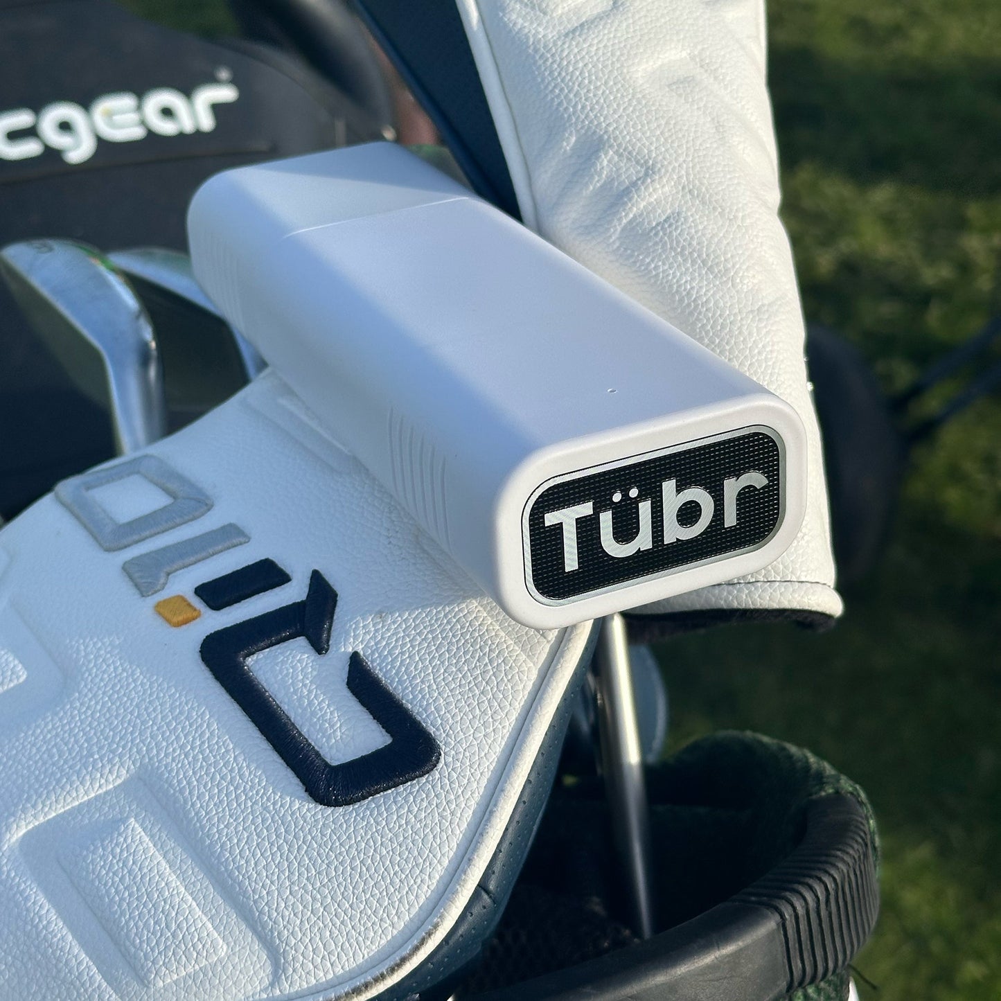 Tübr Gordo 2 Color Options