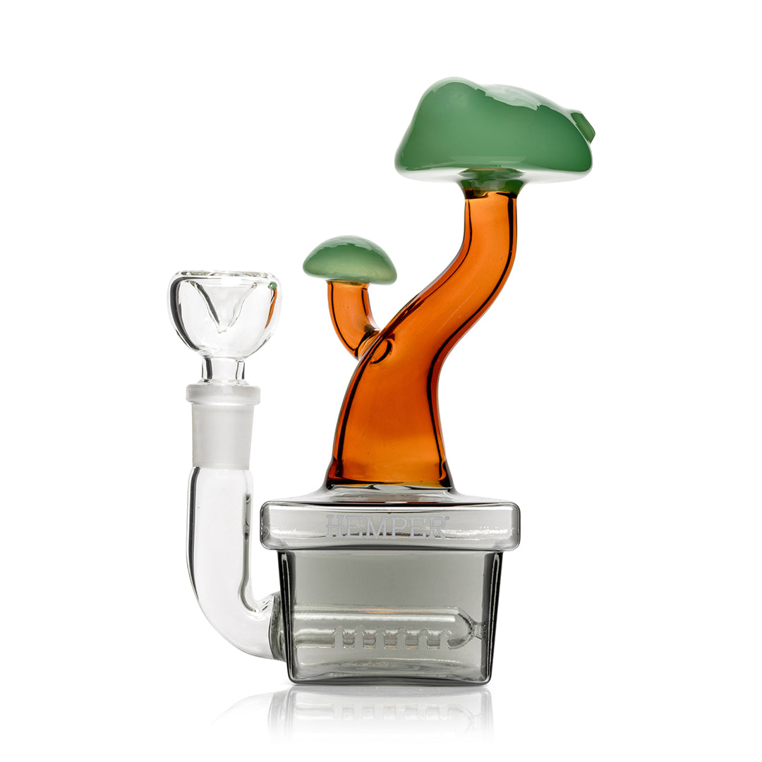 Bonsai Bong 6.5"