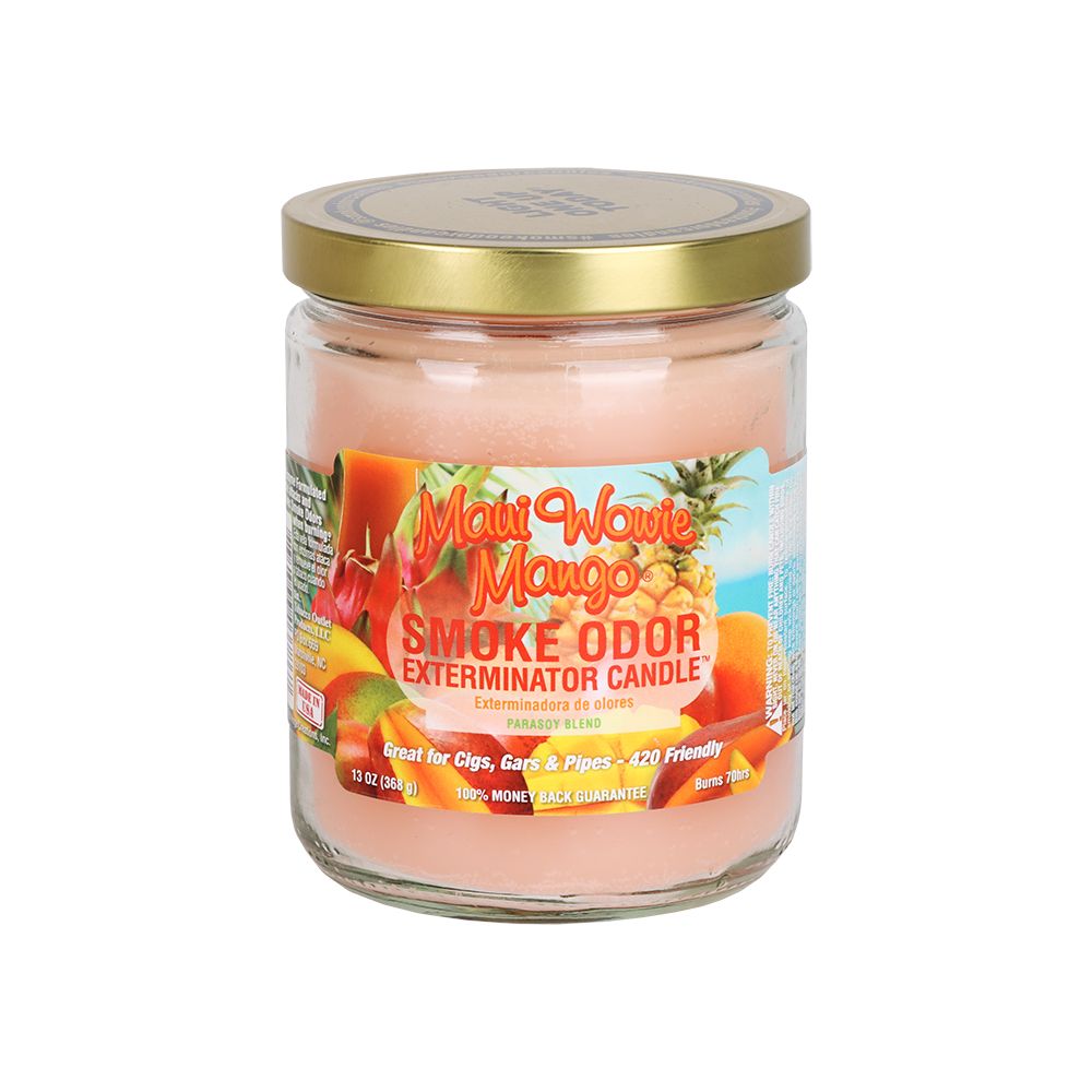 Smoke Odor Exterminator Candle | Year-Round Series | 13oz 8 Different Scent Options Available