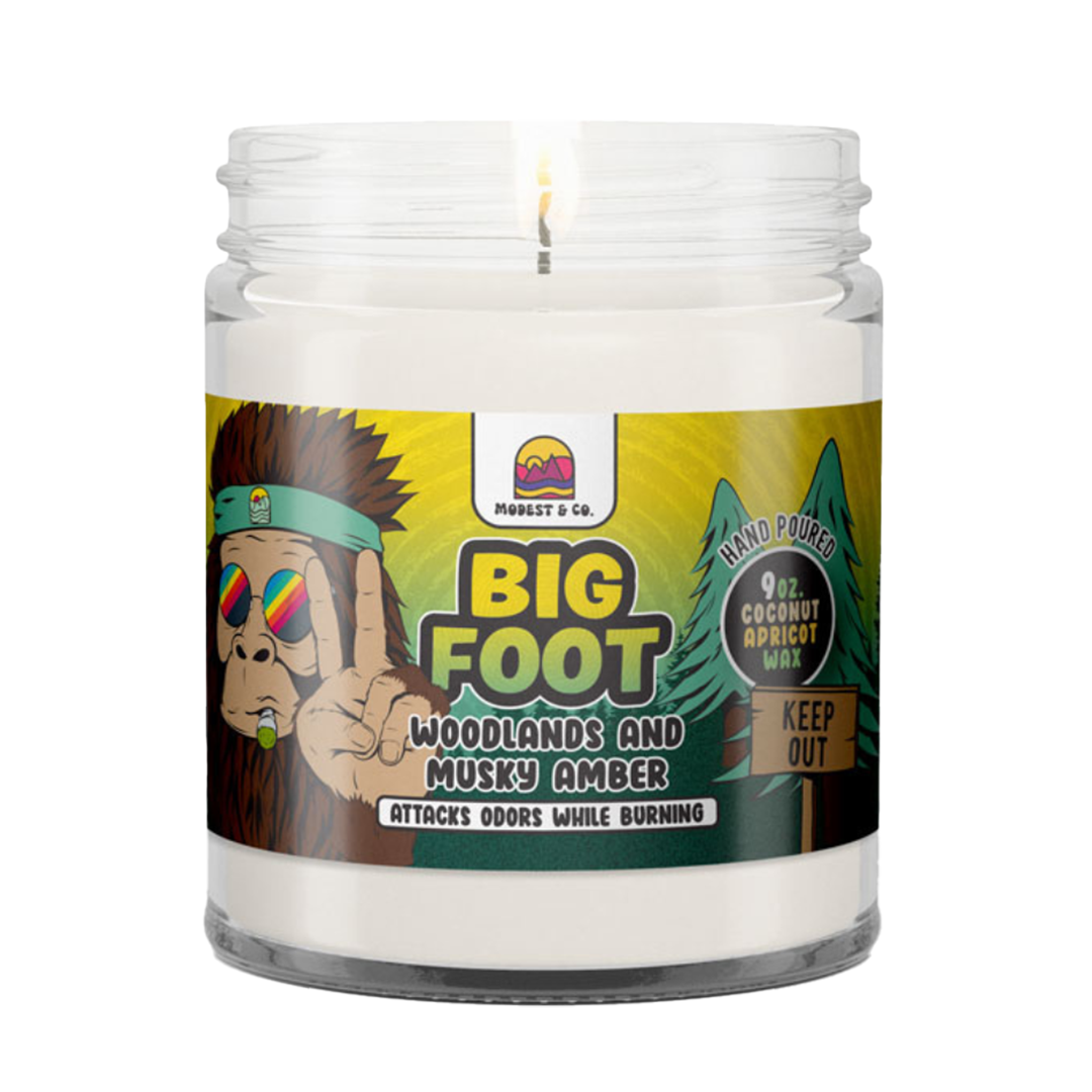 Odor Fighting Candles 9 Scent Options