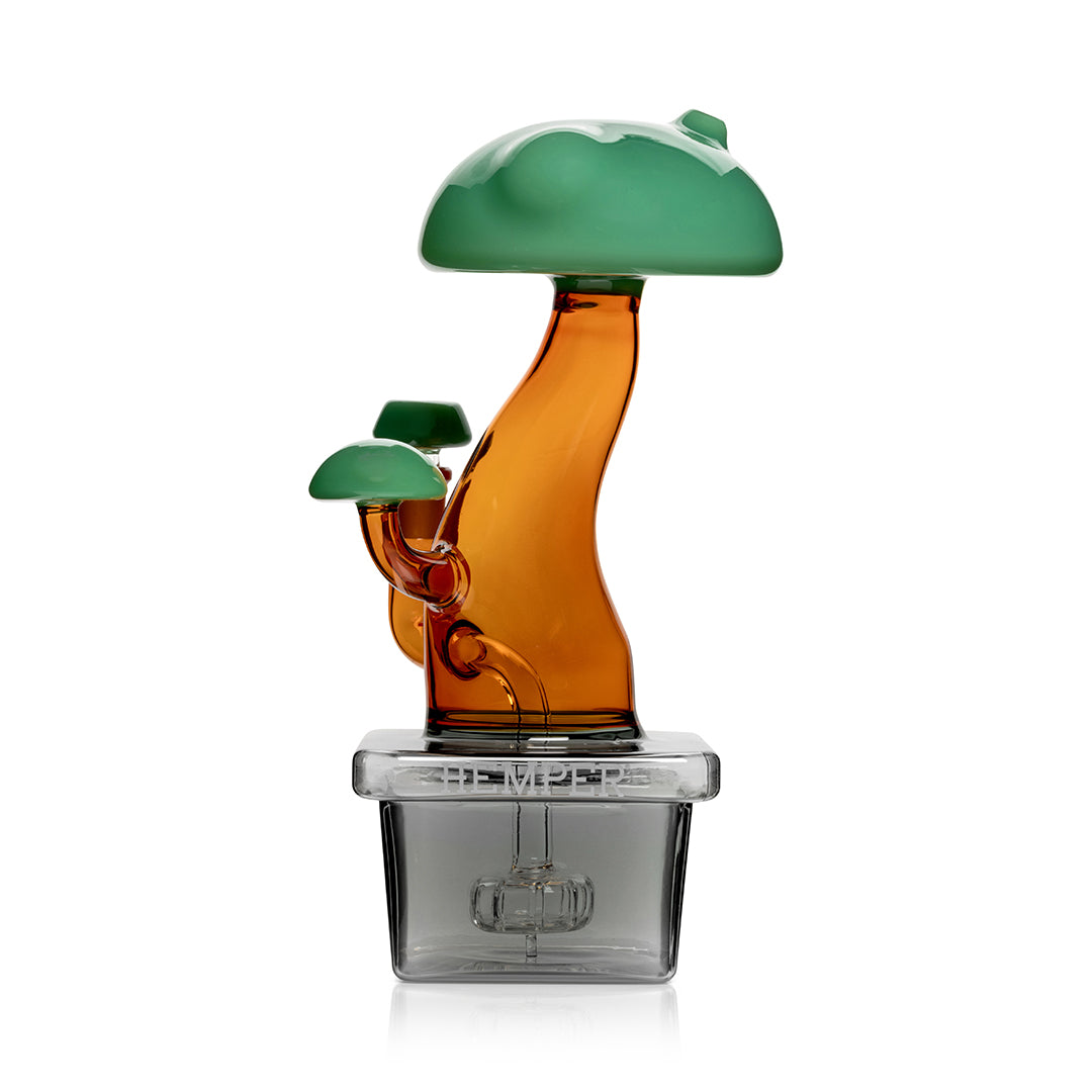 Bonsai XL Bong 10"
