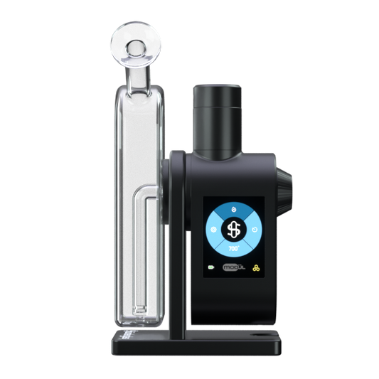 Modül + Dok Concentrate Bundle