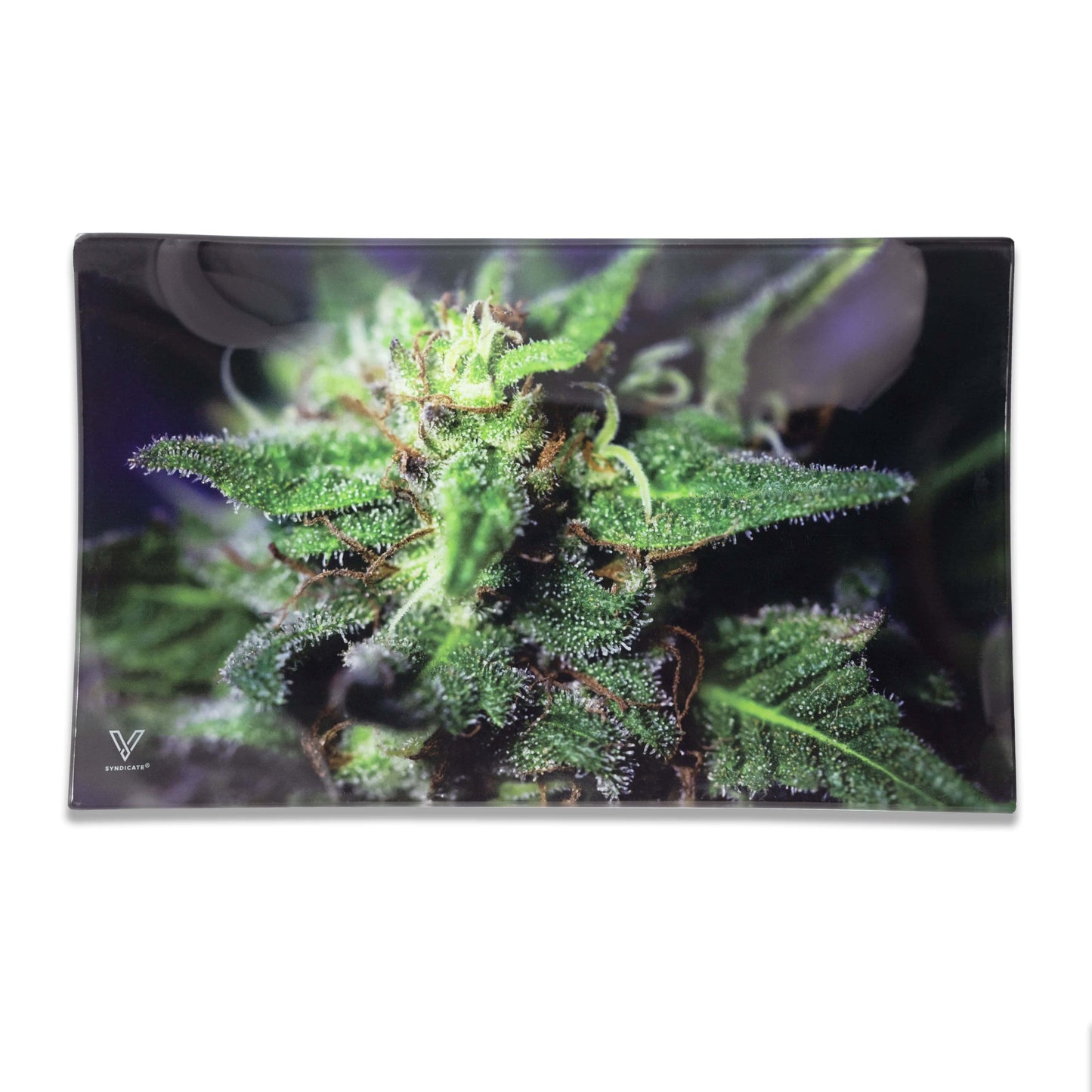 Blue Dream Glass Rollin' Tray 2 Size Options