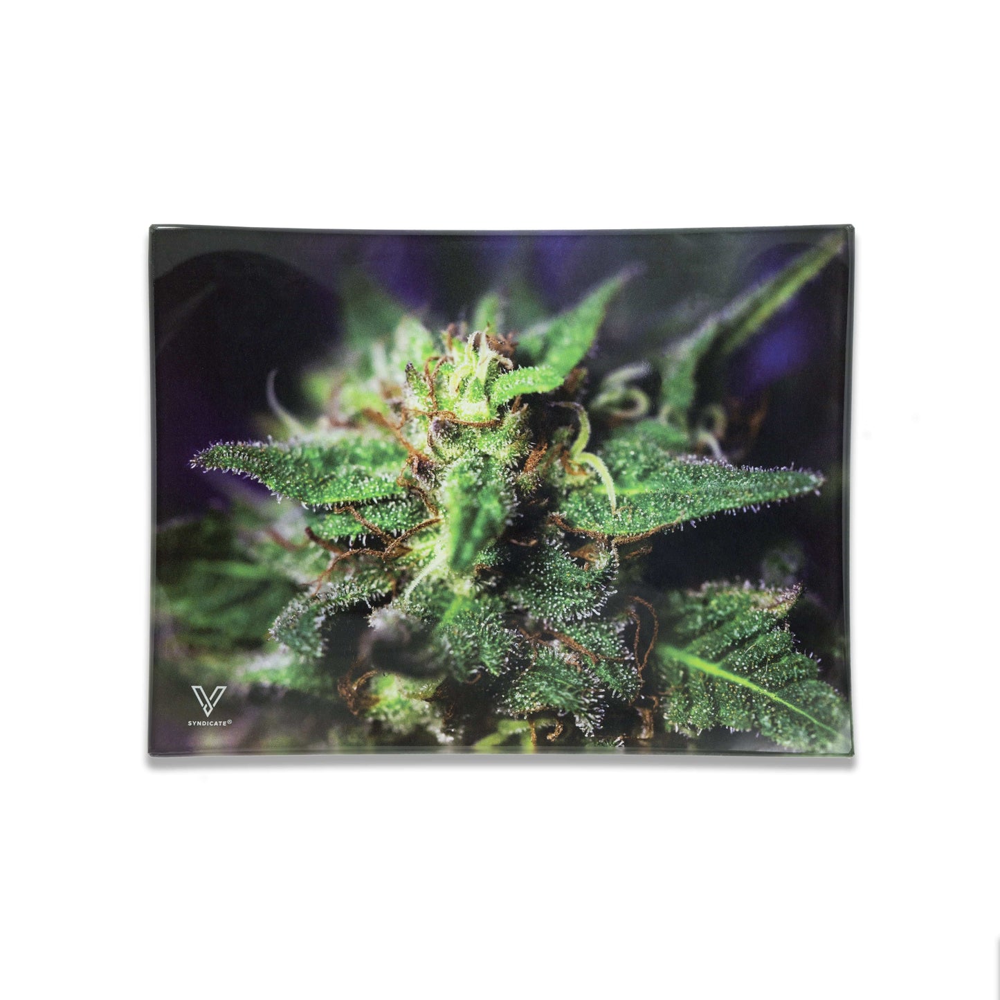 Blue Dream Glass Rollin' Tray 2 Size Options