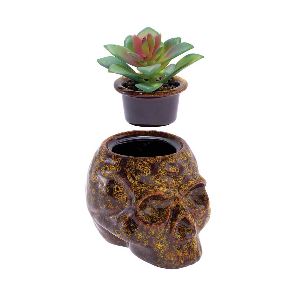 SKULL PLANTER STASH JAR